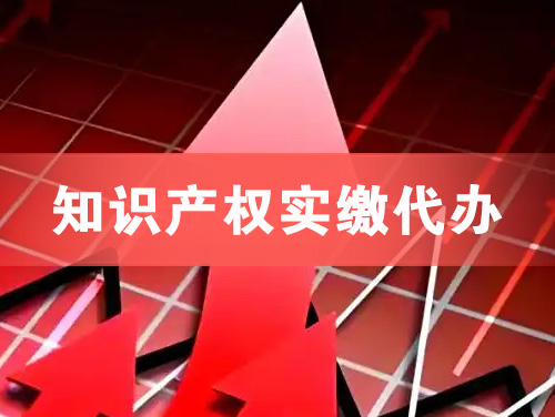 兴宁知识产权实缴资本代办
